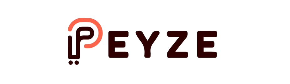 Peyze Logo